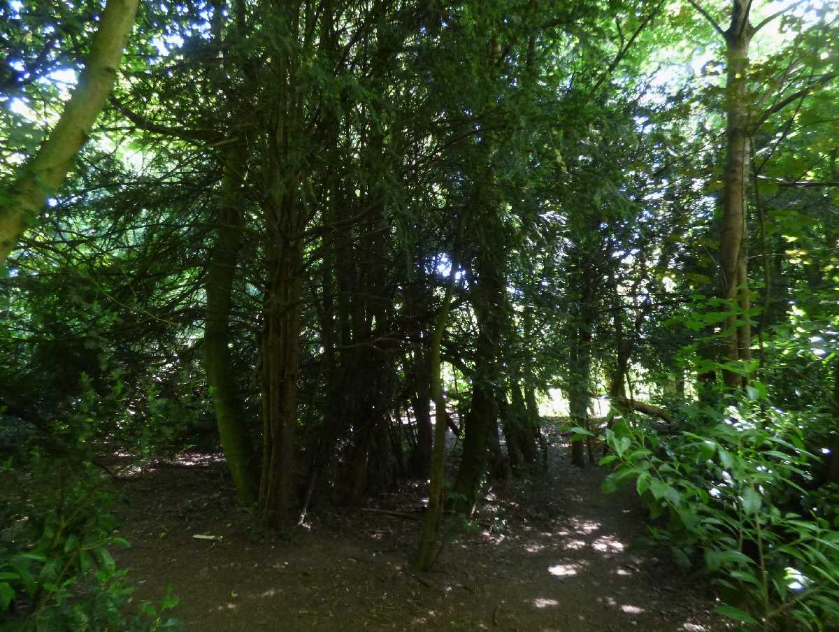 Chamberlain's Gardens at Highbury Hall (May 2020)